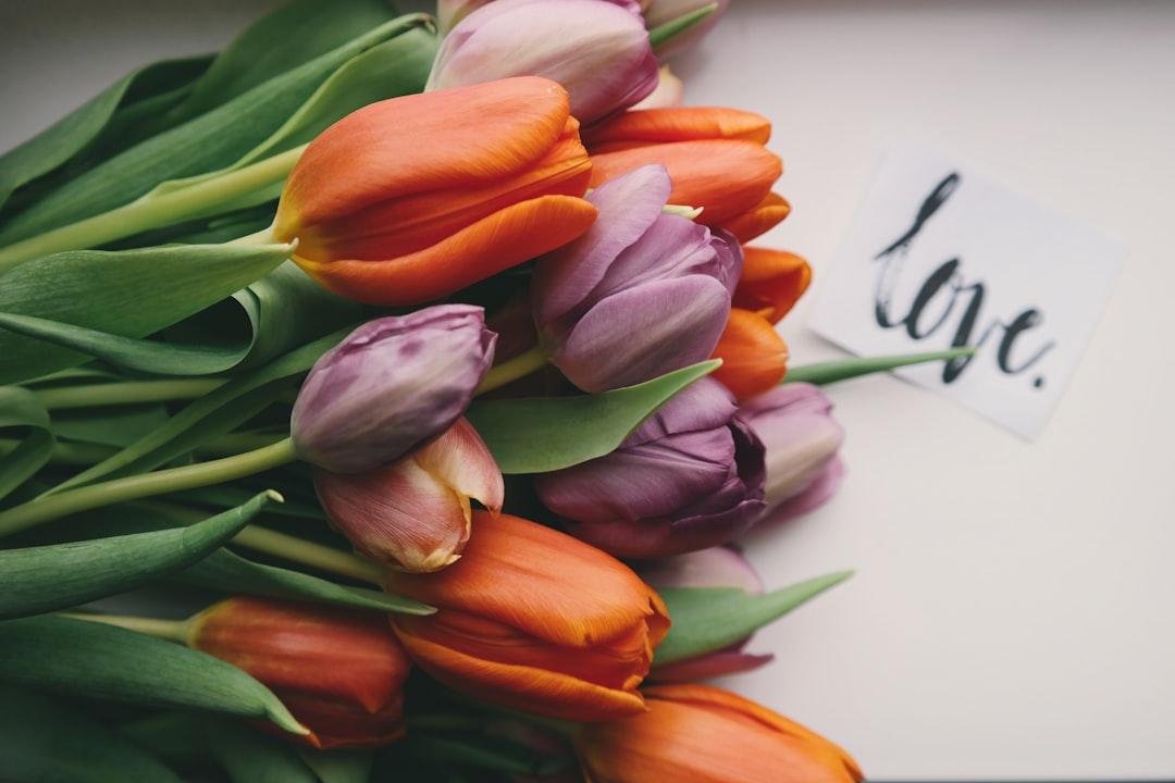 Purple and orange tulips on white surface from Brigitte Tohm on Unsplash Những điều cần làm trước khi ăn 'trái cấm'