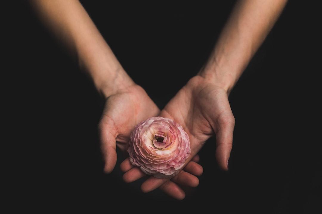Person holding pink flower from Matthew Henry on Unsplash