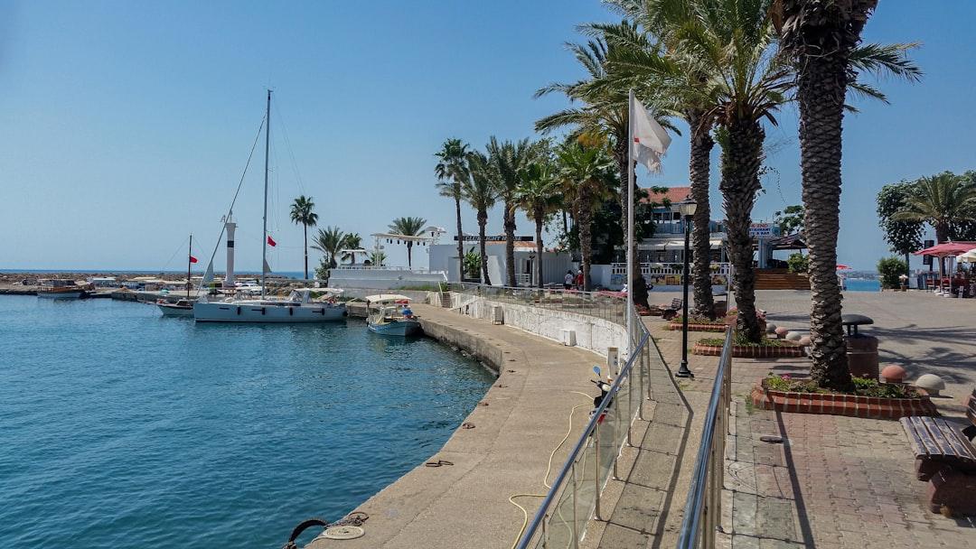 A view of a harbor with boats and palm trees from Howard Senton on Unsplash Những câu hỏi thường gặp về trì hoãn kinh nguyệt