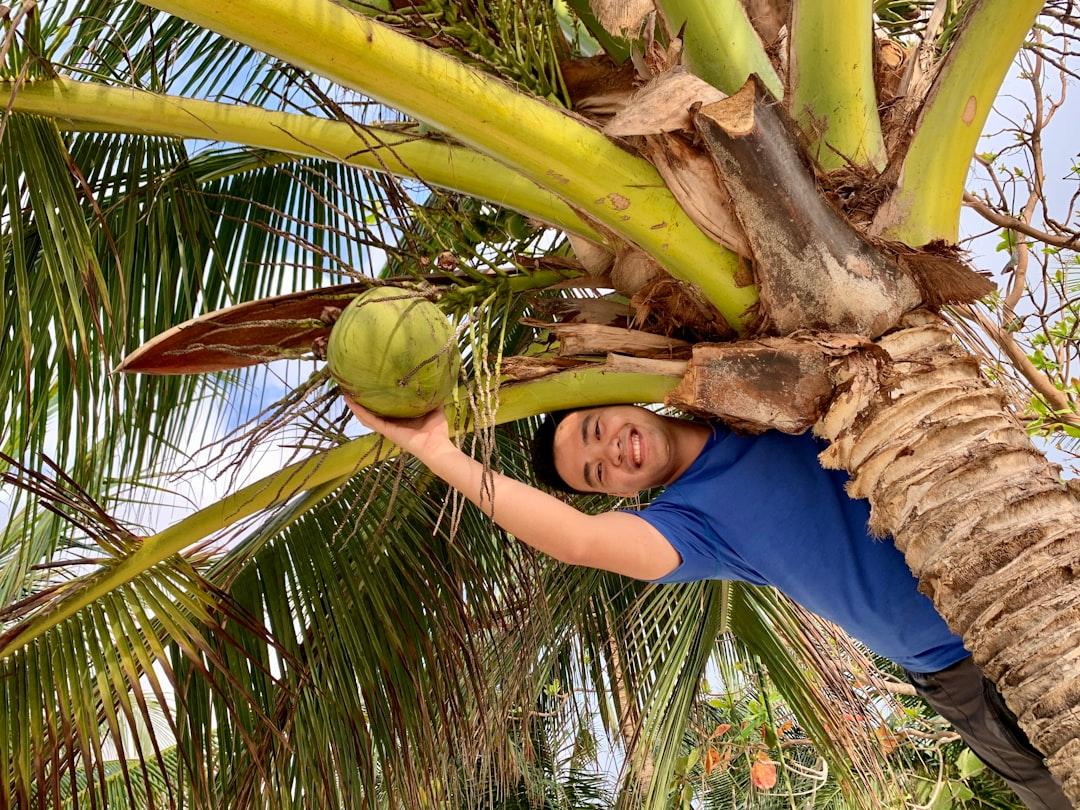Woman in blue crew neck t-shirt holding coconut fruit from Nguyễn Trung Kiên on Unsplash