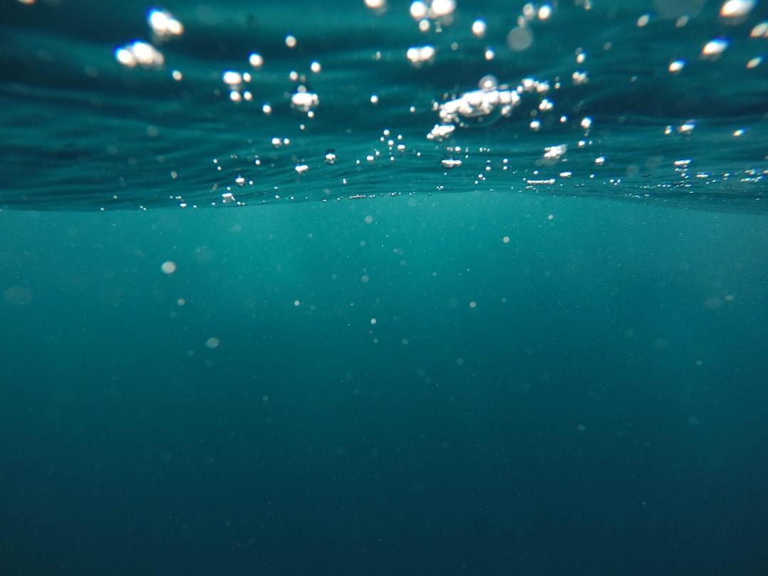 Photo of underwater from Jeremy Bishop on Unsplash Uống nhiều nước có thể gây hại cho trẻ sơ sinh
