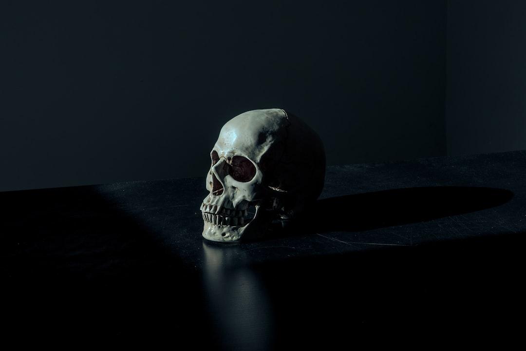 White and black skull figurine on black surface from Mathew MacQuarrie on Unsplash