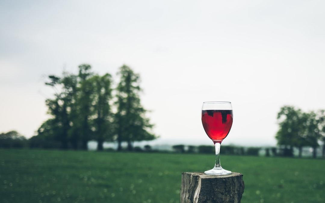 Selective focus photography of wine glass on tree trunk from Jamie Street on Unsplash Viêm tụy thường xảy ra sau tiệc tùng