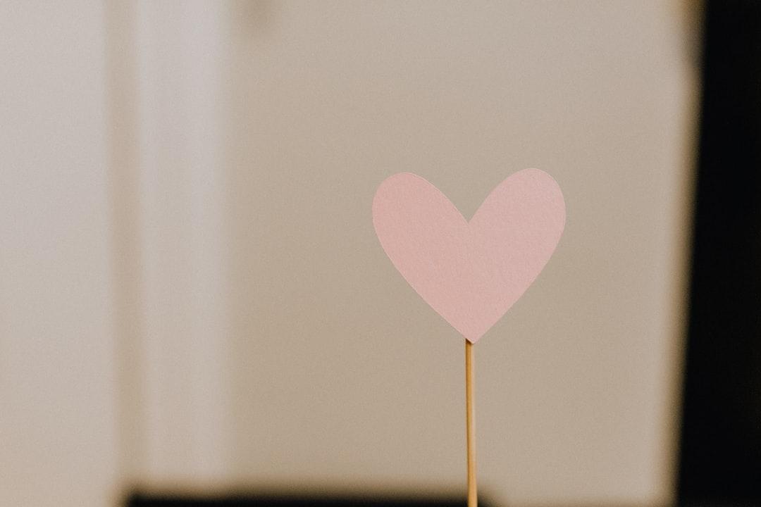 Pink heart with brown stick from Kelly Sikkema on Unsplash Phương pháp phòng ngừa bệnh tim mạch