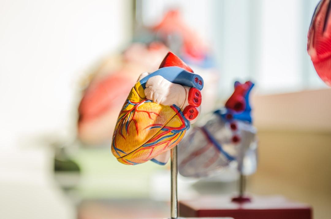 Selective focus photography of heart organ illustration from jesse orrico on Unsplash Phát hiện mới về ung thư phổi và sự biển đổi gen