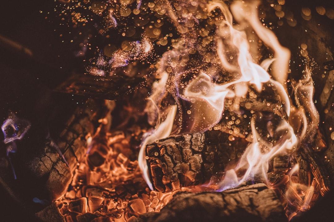 Firewood burning from Joshua Newton on Unsplash Thực phẩm giúp cơ thể thải chất độc