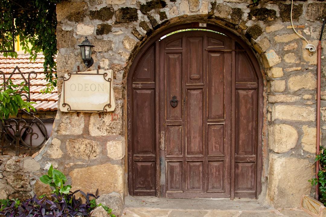 Brown wooden door with green plant from Mick Haupt on Unsplash Loại thuốc mới tốt hơn viagra nhiều lần