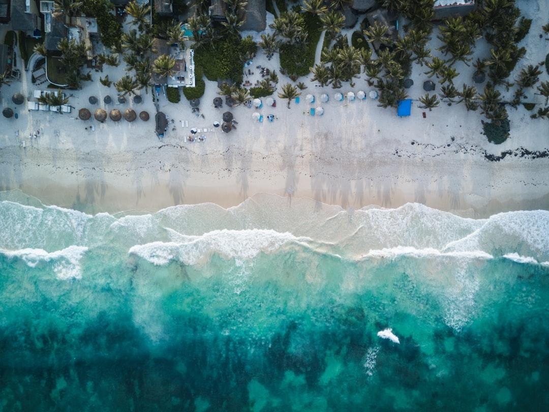 Aerial photography of beach shore during daytime from Spencer  Watson on Unsplash Tin Ảnh