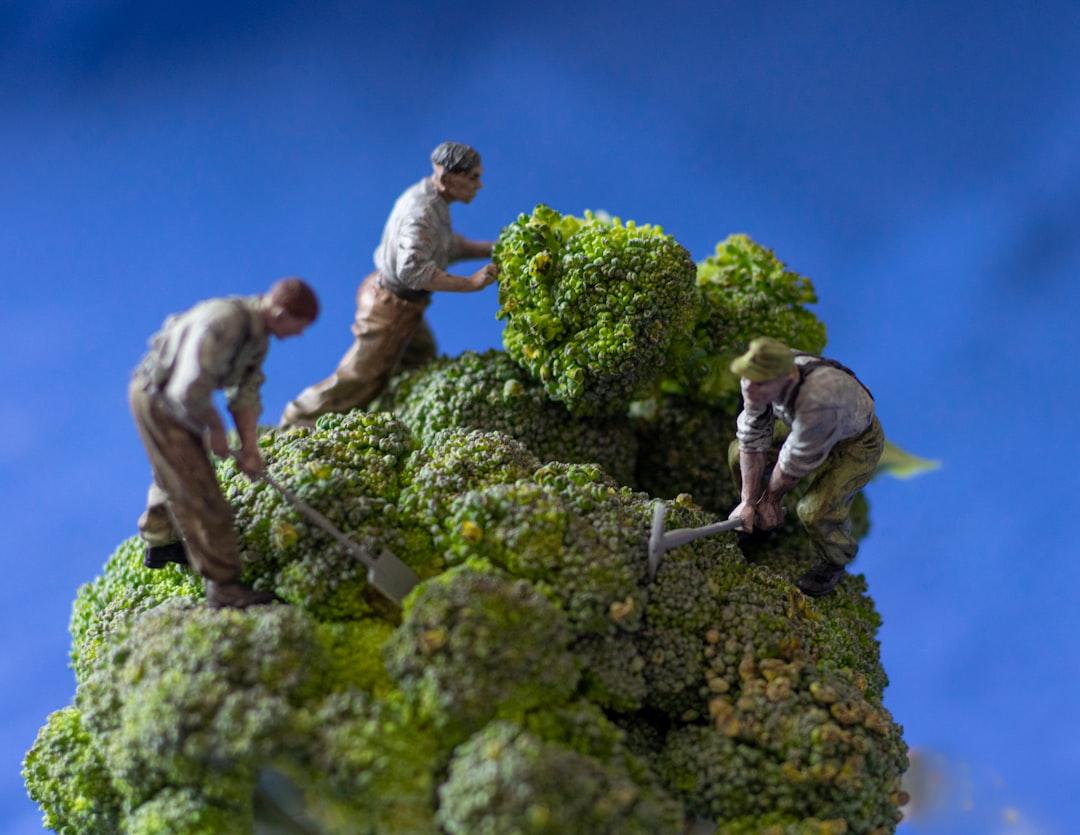Man in gray long sleeve shirt and brown pants holding green plant during daytime from Elena Mozhvilo on Unsplash Bông cải xanh làm dịu viêm đường hô hấp