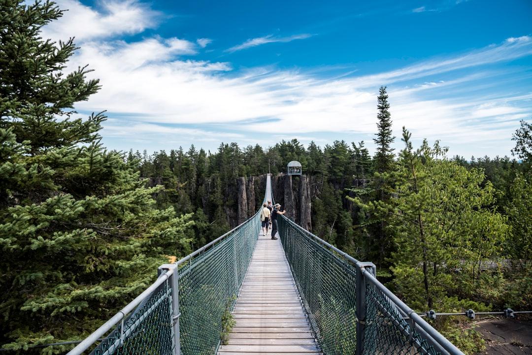 People walking on bridge between pine trees from Good Free Photos on Unsplash Hà Nội: Đình chỉ lưu hành hai lô thuốc