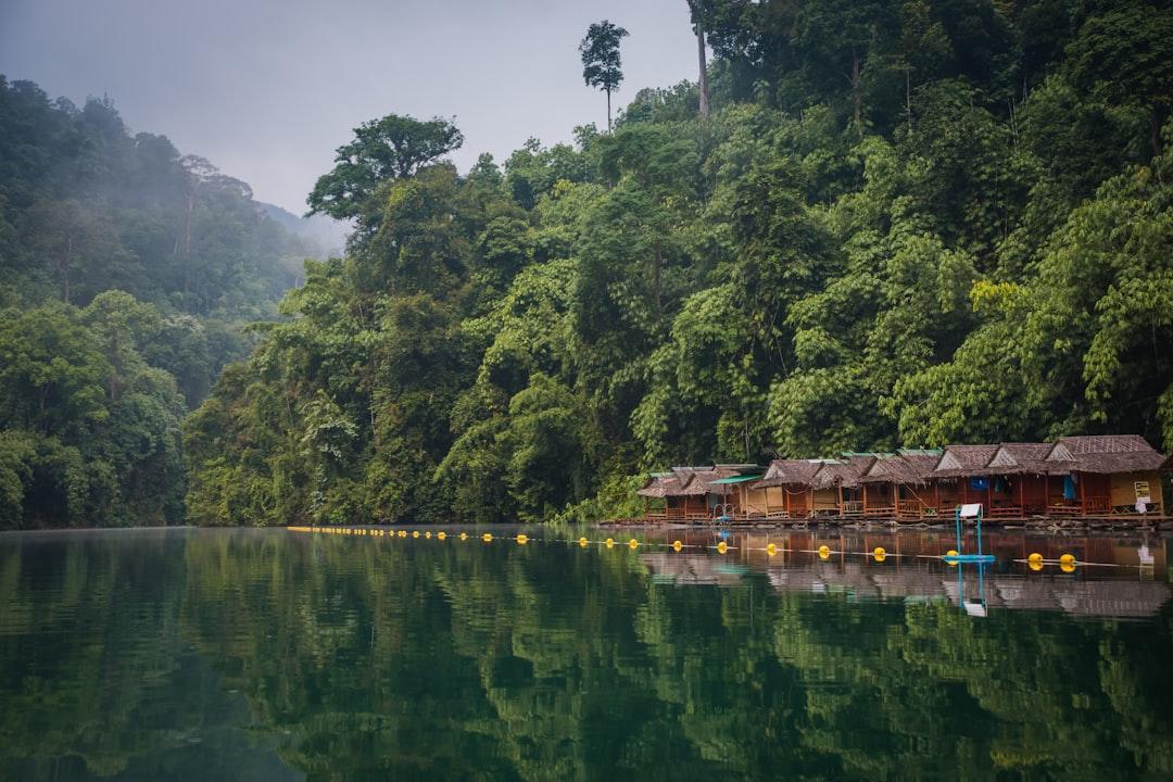 Green trees near brown huts from Marcin Kaliński on Unsplash Đã có vắcxin ngừa bệnh AIDS