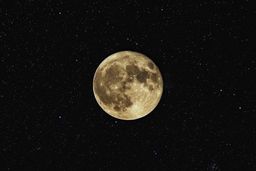 Close up photography of moon from Neven Krcmarek on Unsplash Phát triển cây hồi, sản xuất thuốc chữa cúm A /H1N1
Hoa hồi