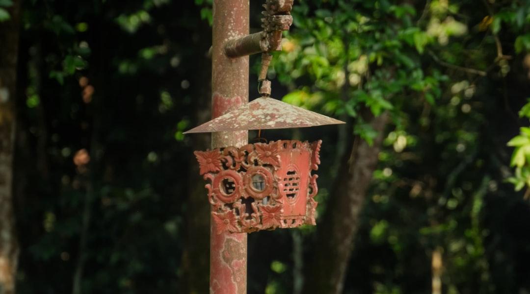 A bird feeder hanging from a tree in a forest from Aoi on Unsplash Bệnh nhân đầu tiên ở Thanh Hóa chết vì cúm A/H1N1