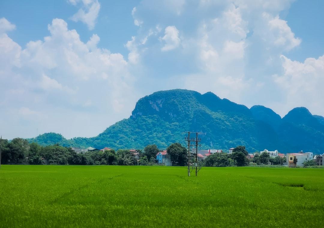 A green field with a mountain in the background from Aoi on Unsplash Ca tử vong thứ 20 do cúm A/H1N1
