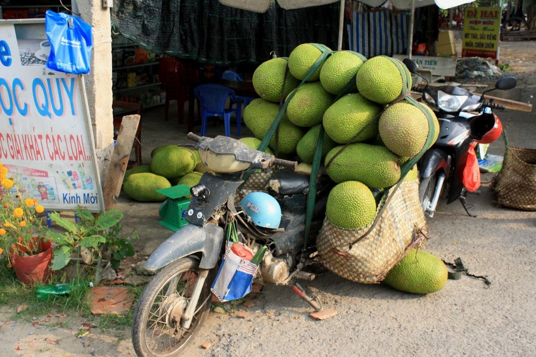 Green fruits on red and black motorcycle from Callum Parker on Unsplash 32.000 ca sốt xuất huyết