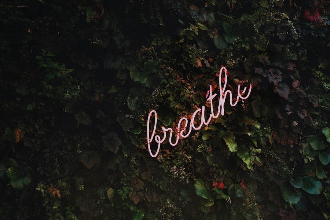 Breathe neon signage Bụng - Cuống rốn