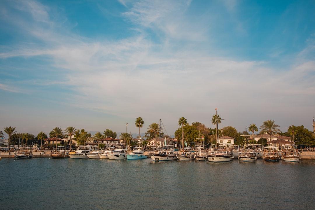 A harbor filled with lots of boats under a blue sky from kub liz on Unsplash Thuốc giảm đau - Con dao hai lưỡi