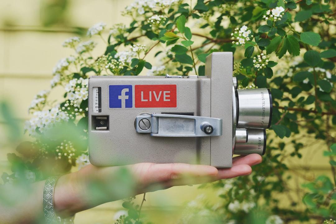 Person holding gray video camera near green leaf plant during daytime from Sticker Mule on Unsplash
