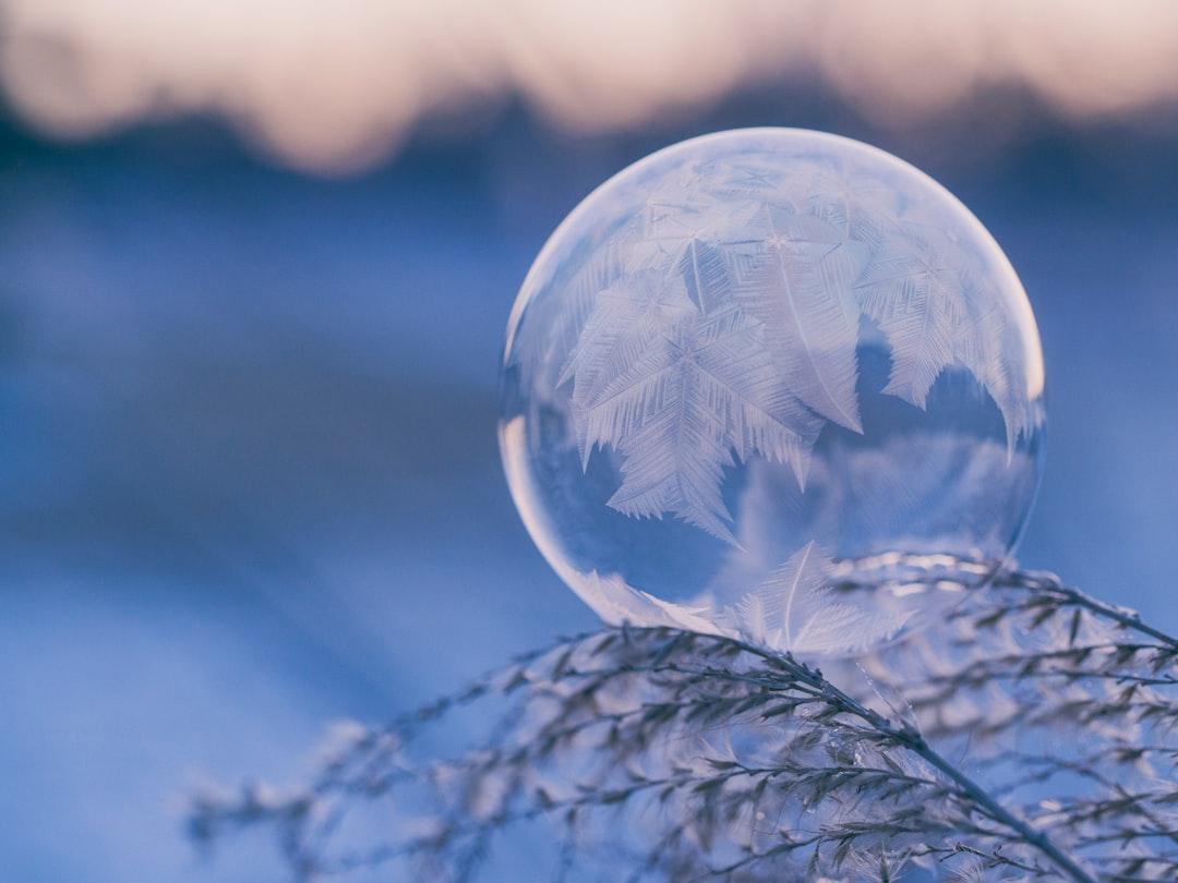 Shallow focus photography of bubble on leaves from Aaron Burden on Unsplash