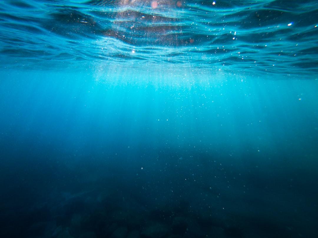 Clear blue body of water from Cristian Palmer on Unsplash Viagra Sa Huỳnh