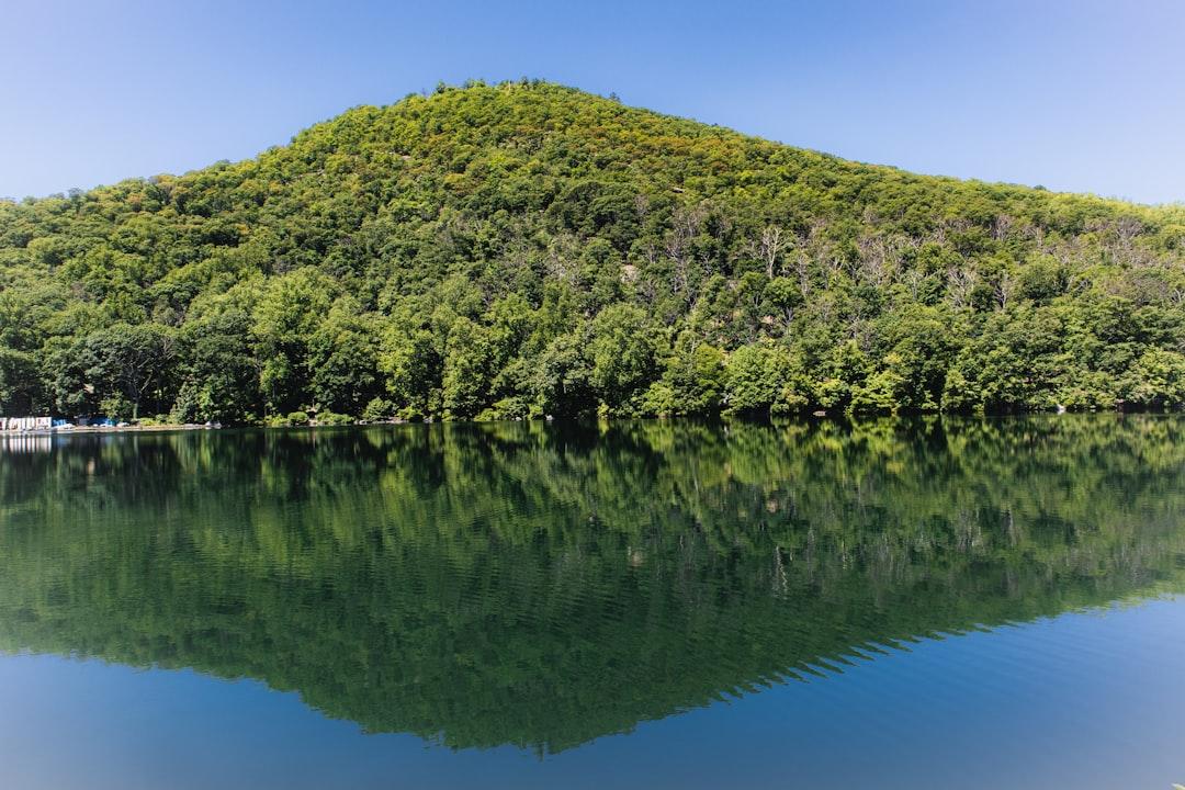 Green trees on island during daytime from Isaac Keem on Unsplash