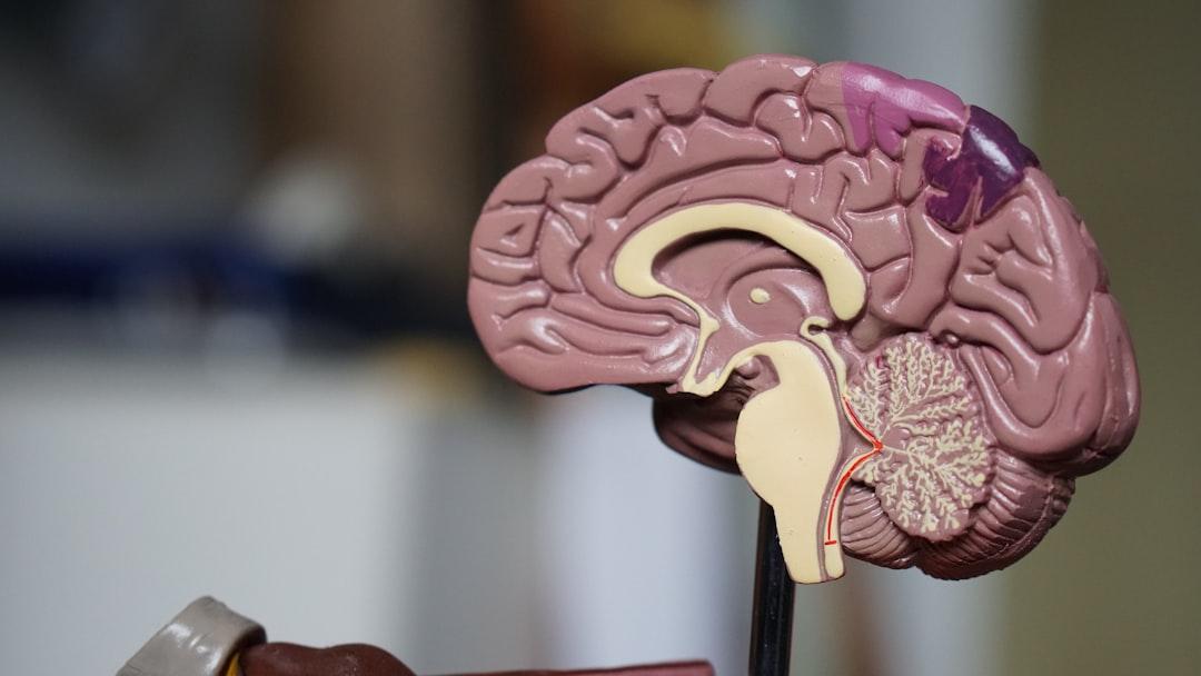 Brown brain decor in selective-focus photography from Robina Weermeijer on Unsplash