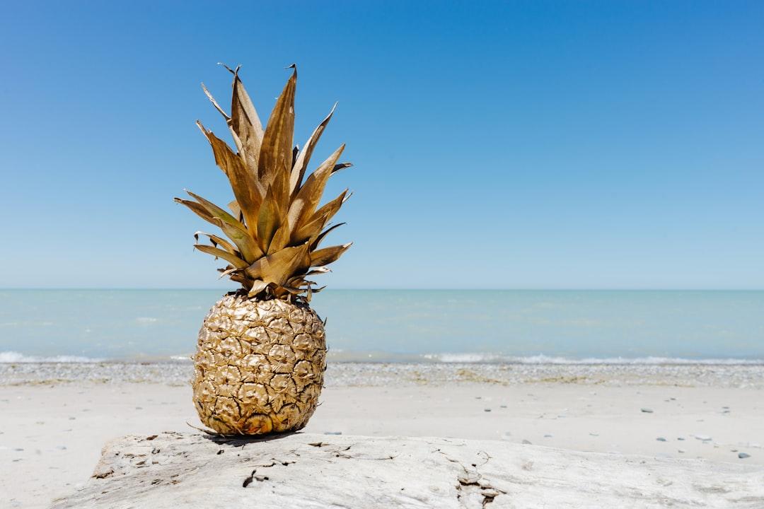 Brown pineapple fruit on seashore from Pineapple Supply Co. on Unsplash