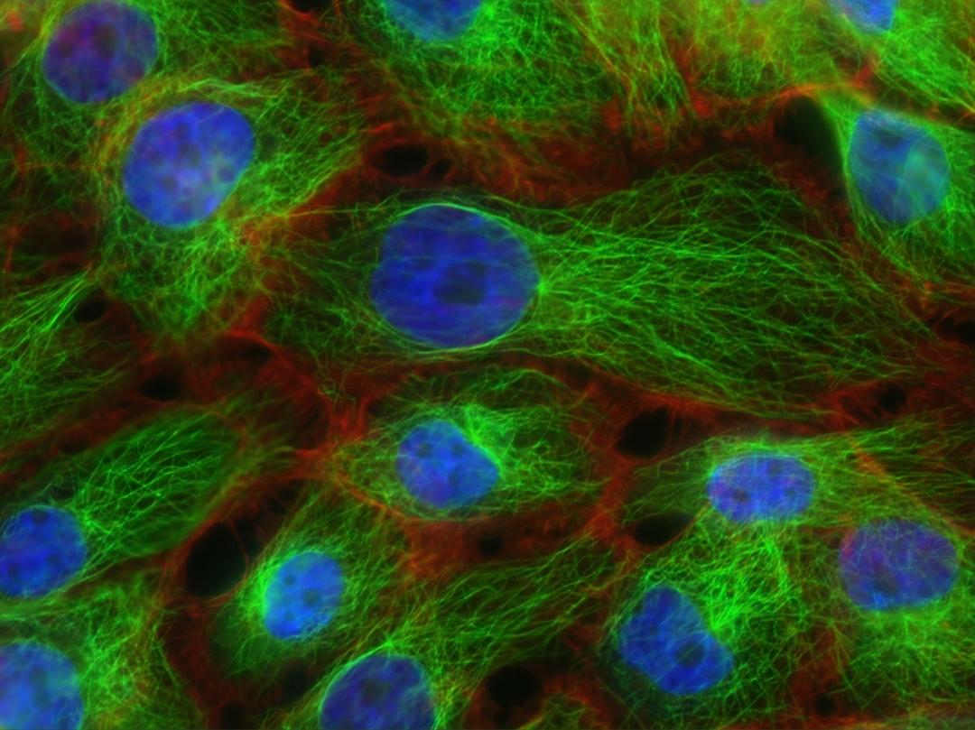 Gree fur from National Cancer Institute on Unsplash