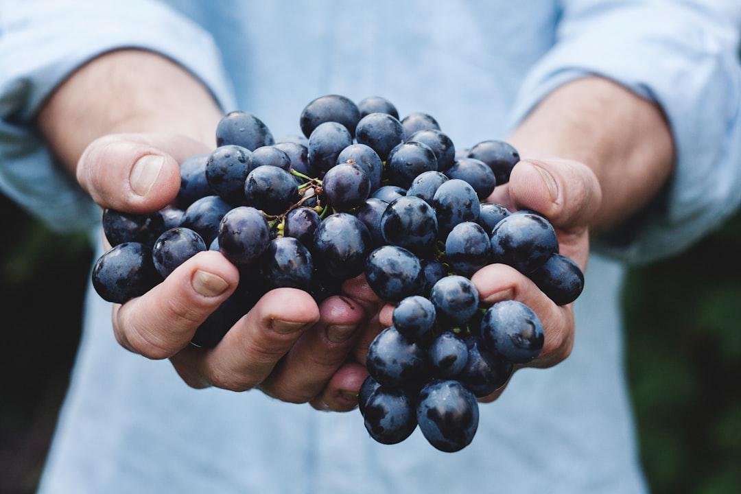 Person holding grapes from Maja Petric on Unsplash