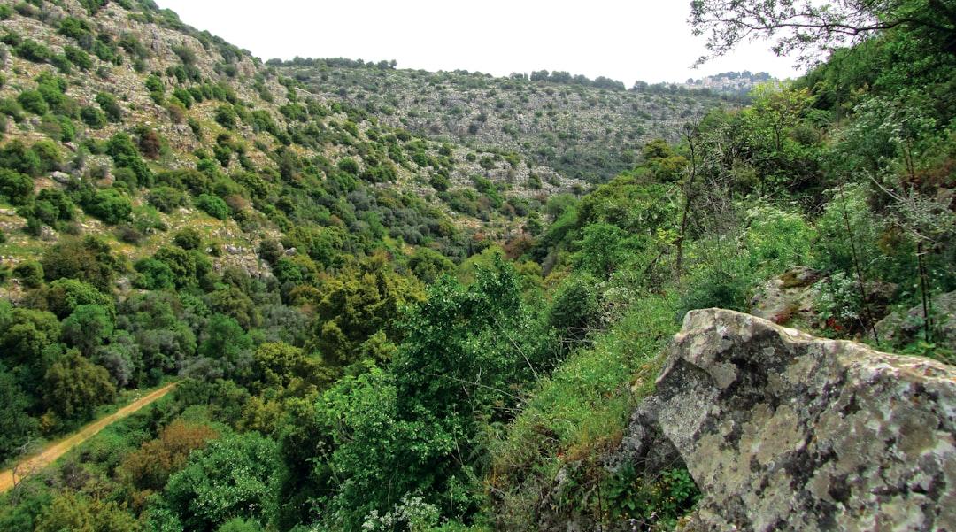 A rocky hillside with trees from ronen abudi on Unsplash Chăm sóc ‘núi đôi’ đúng cách