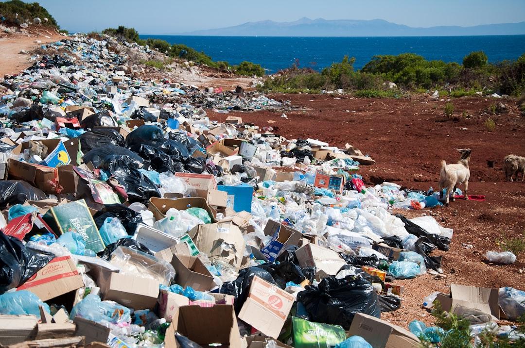 Garbage near forest from Antoine GIRET on Unsplash