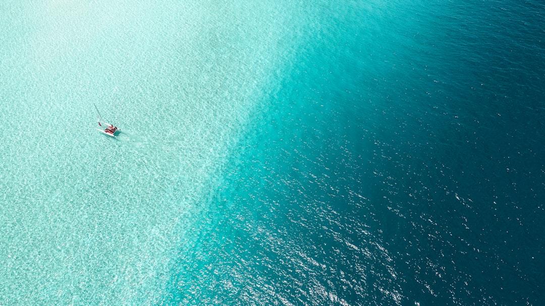 Boat on body of water from Ishan @seefromthesky on Unsplash Khi cá biển lên tiếng…