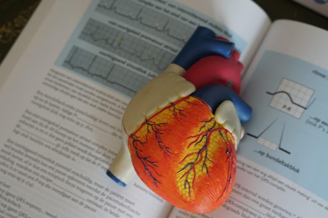 Human heart illustration from Robina Weermeijer on Unsplash Về bài viết “mổ sạn thân, bác sĩ làm bệnh nhân tàn phế”