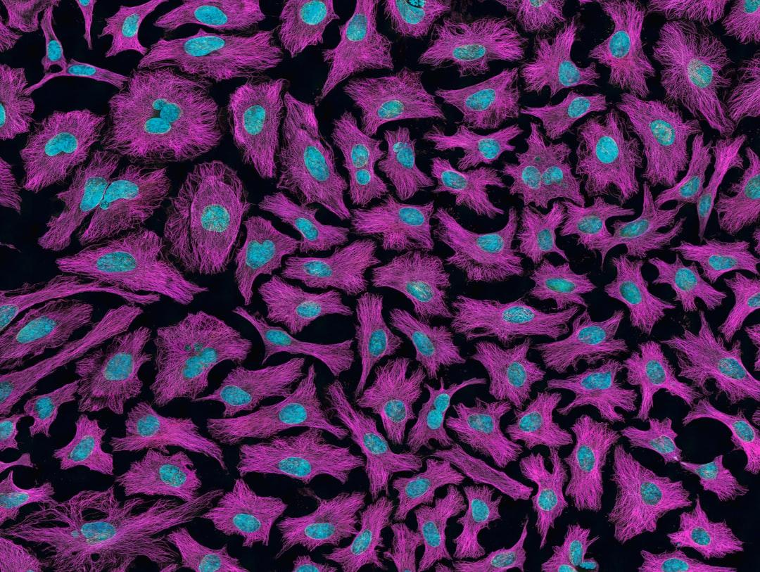 Black pink and blue floral textile from National Cancer Institute on Unsplash Các loại tinh bột tốt cho sức khỏe