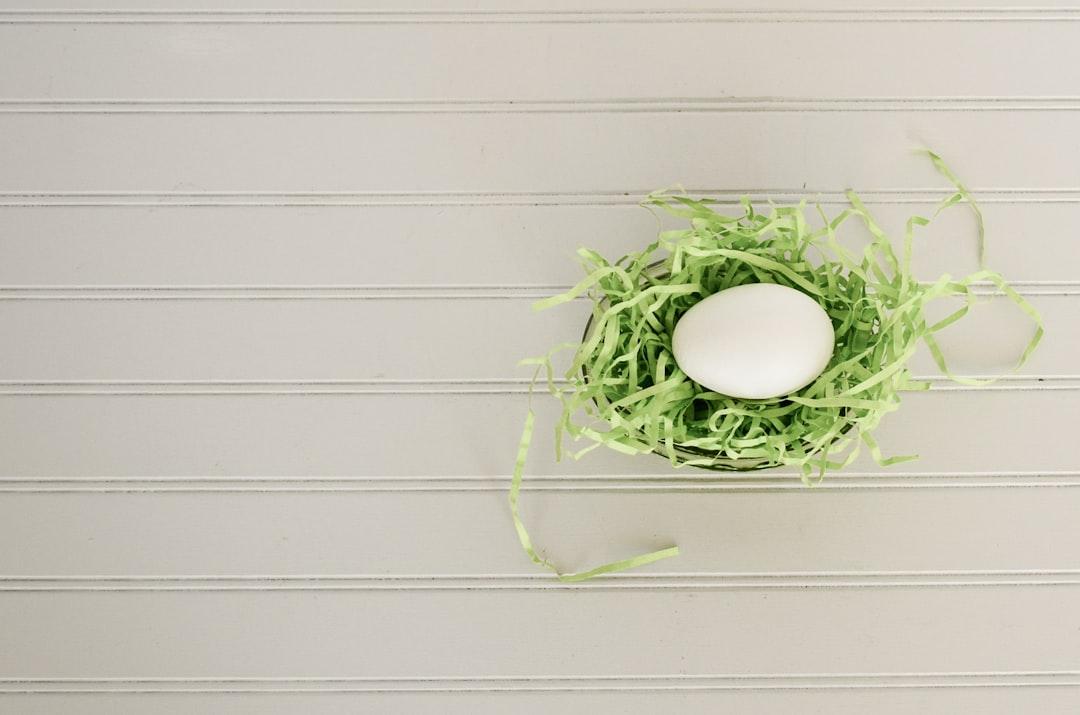 green lace basket Tế bào trứng phát dục và chín như thế nào?