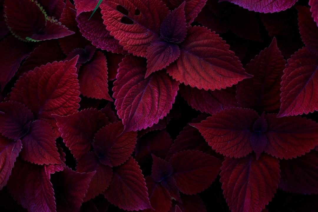 Những bệnh phụ khoa nào thường dẫn đến đau bụng hành kinh? Phải điều trị n