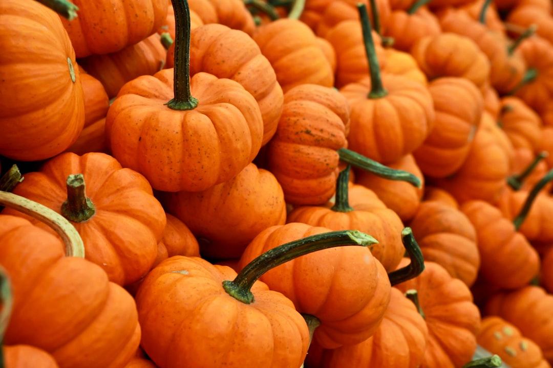 Bunch of pumpkin from Gabby Orcutt on Unsplash