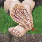 Đường nhiễm bệnh